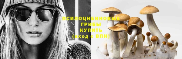 молекула духа Алексин